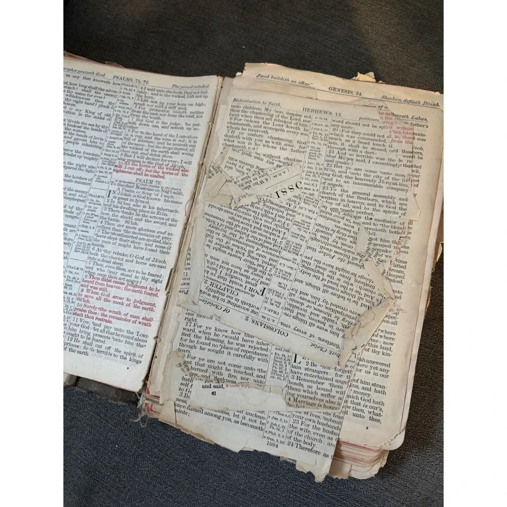 Antique Holy Bible Red Letter International Bible Press Epherma Junk Journal